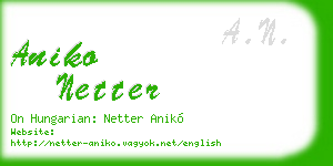 aniko netter business card